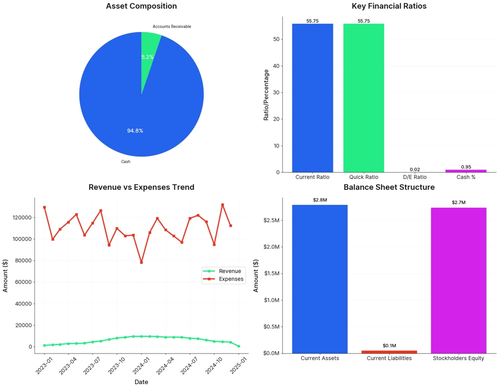 Balance Sheet Creation for SaaS Companies: A Practical Guide template preview